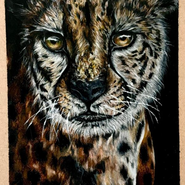 Cheetah Drawing